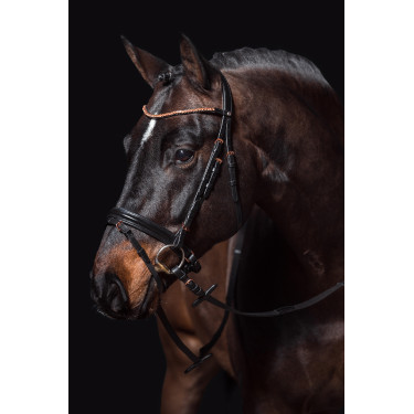 new Negro / oro rosa