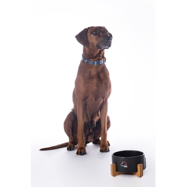 Cuenco para perro Buddy cerámica HKM Cuenco para perro Buddy cerámica HKM