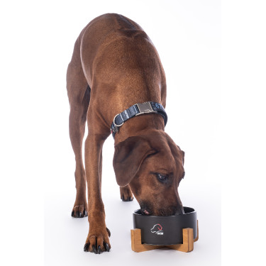 Cuenco para perro Buddy cerámica HKM Cuenco para perro Buddy cerámica HKM