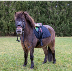 Silla para Shetland set Colourful HKM Silla para Shetland set Colourful HKM