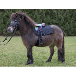 Silla para Shetland set Colourful HKM Silla para Shetland set Colourful HKM