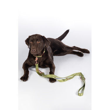 Correa de adiestramiento para perros Qooper de nailon HKM Correa de adiestramiento para perros Qooper de nailon HKM