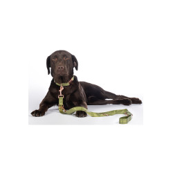 Correa de adiestramiento para perros Qooper de nailon HKM Pistacho Verde