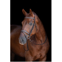 Bridon Lou HKM Castaño Marrón