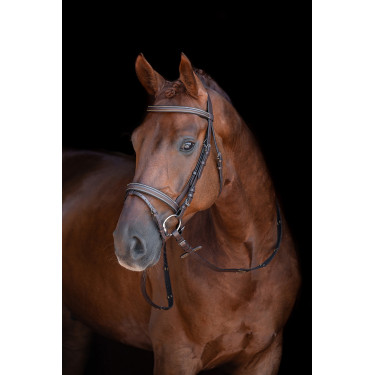 Bridon Lou HKM Castaño Marrón Bridon Lou HKM Castaño Marrón