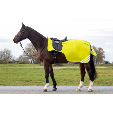 Cubre riñones polar Reflective forro polar HKM Cubre riñones polar Reflective forro polar HKM