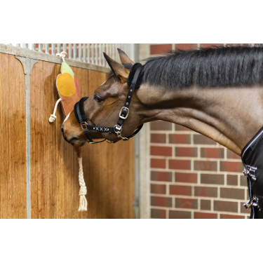 Juguete para caballos Ice cream HKM Juguete para caballos Ice cream HKM