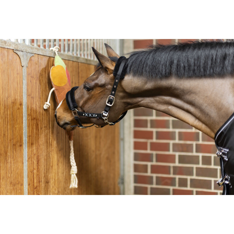 Juguete para caballos Ice cream HKM Juguete para caballos Ice cream HKM