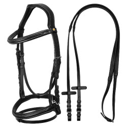Brida anatómica elevada y acolchada Equestro