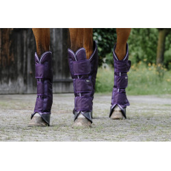 Protectores de transporte Equithème - TYREX 600D Ciruela Violeta Protectores de transporte Equithème - TYREX 600D Ciruela Violeta