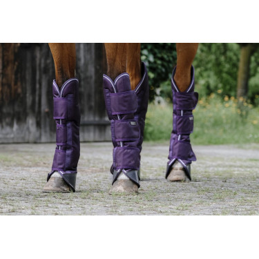 Protectores de transporte Equithème - TYREX 600D Ciruela Violeta Protectores de transporte Equithème - TYREX 600D Ciruela Violeta