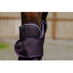 Protectores de transporte Equithème - TYREX 600D Ciruela Violeta Protectores de transporte Equithème - TYREX 600D Ciruela Violeta