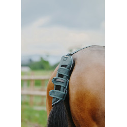 Protector de cola Equithème - TYREX 600D Protector de cola Equithème - TYREX 600D