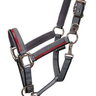 Cabezada de nailon con ramal Red Trim Equestro Gris / rojo / negro