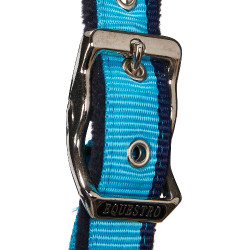 Cabezada de nailon con ramal Red Trim Equestro Turquesa / rojo / marino Azul