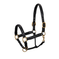 Cabezada de cuero superior Equestro
