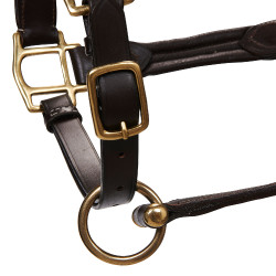 Cabezada de cuero superior Equestro Marrón oscuro Marrón Cabezada de cuero superior Equestro Marrón oscuro Marrón
