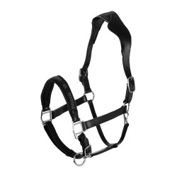 Cabezada de cuero con protección ergonómica de ternero Acavallo