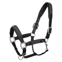 Licol en cuir avec inserts en nylon tressé Equestro Negro / Gris
