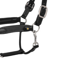Cabezada de cuero con inserciones de nailon trenzado Equestro Negro / Gris