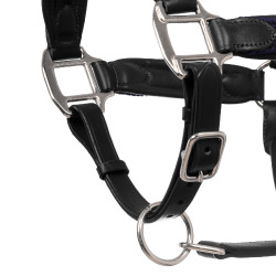 Licol en cuir avec inserts en nylon tressé Equestro Negro / azúl marino