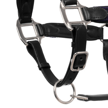 Licol en cuir avec inserts en nylon tressé Equestro Negro / azúl marino