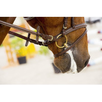 Filete 2 anillas Feeling de...