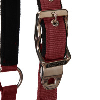 Licol et longe Equestro Negro