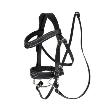 Brida de concurso LeMieux para Hobby Horse Brida de concurso LeMieux para Hobby Horse