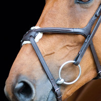 Cabezada mejicana Prescott Horze Negro Cabezada mejicana Prescott Horze Negro