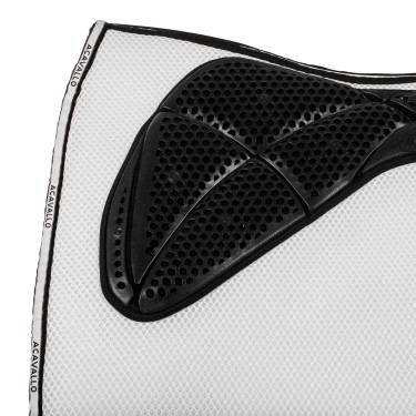 new Blanco new Blanco