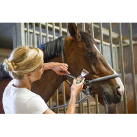 Esquiladora para retoques... Esquiladora para retoques...