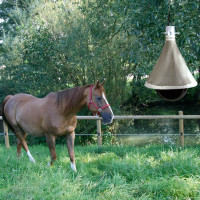 PIEGE A TAONS TAON X ECO