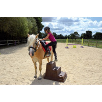 Escalera Easy Step La Gée 3 escalones Chocolate Marrón