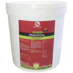 Paskafoal Paskafoal