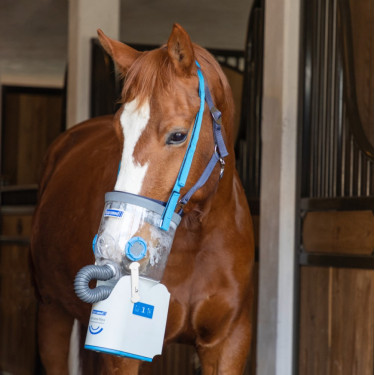 Inhalador ultrasónico inalámbrico para caballos AirOne Flex Hippomed Inhalador ultrasónico inalámbrico para caballos AirOne Flex Hippomed
