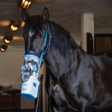 Inhalador ultrasónico inalámbrico para caballos AirOne Flex Hippomed Inhalador ultrasónico inalámbrico para caballos AirOne Flex Hippomed