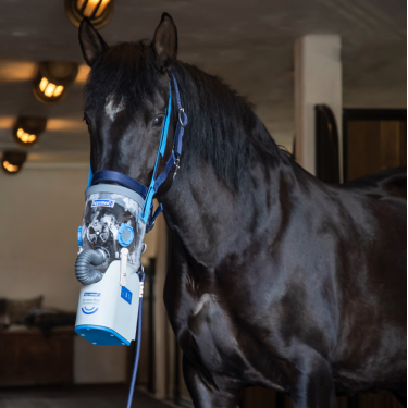 Inhalador ultrasónico inalámbrico para caballos AirOne Flex Hippomed Inhalador ultrasónico inalámbrico para caballos AirOne Flex Hippomed
