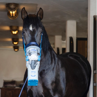 Inhalador ultrasónico inalámbrico para caballos AirOne Flex Hippomed Inhalador ultrasónico inalámbrico para caballos AirOne Flex Hippomed