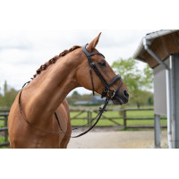 Bridon Ira HKM Castaño Marrón