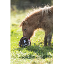 Conjunto Star Cuddle Pony HKM Rosa estrellas