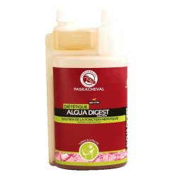 Algua Digest Paskacheval Algua Digest Paskacheval