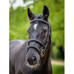 Negro / plata Negro / plata