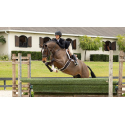 Alfombra de Hunter LeMieux Merino+ Blanco / blanco