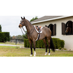 Alfombra de Hunter LeMieux Merino+ Blanco / blanco