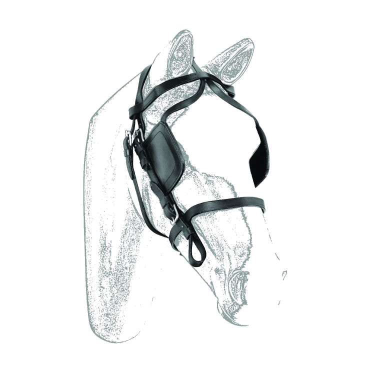 Brida de carruaje de cuero Umbria Equitazione