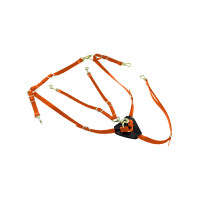 new Naranja