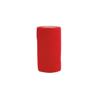 new Roja