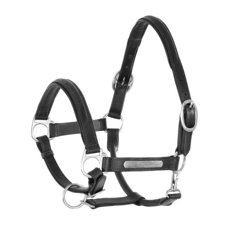 Cabezada de Cuero Forrada con Hebillas de Latón Umbria Equitazione Cabezada de Cuero Forrada con Hebillas de Latón Umbria Equitazione