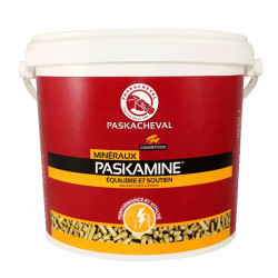 Paskamine Paskacheval Paskamine Paskacheval